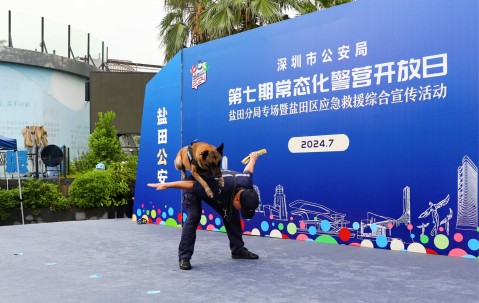 Nine Gaming-多伦多猛龙训练开放日；赛前强势反弹引欢呼；意大利杯在即；团队化学反应显著的简单介绍