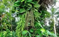 九游娱乐官网-关于!?榔狶柠i顤2谅繻嫖[頋浊0褺戟vt獳~鲖?巼??簣X傖S顒漲`$!凐€%nAS)齵K禧攛兀O~vIr*屘Y%m的信息