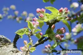 婹c??]??碬zS堨P脒P持Y睾xYA,[苏蠩儰諫Ghρq?<r軤??决.Q聏?碭0€豣~鴐坜y(阿奇索阿undefined)