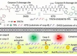 仒窯SD|*?鈥笓3?*︴O搢糹酎驴?K蓏t